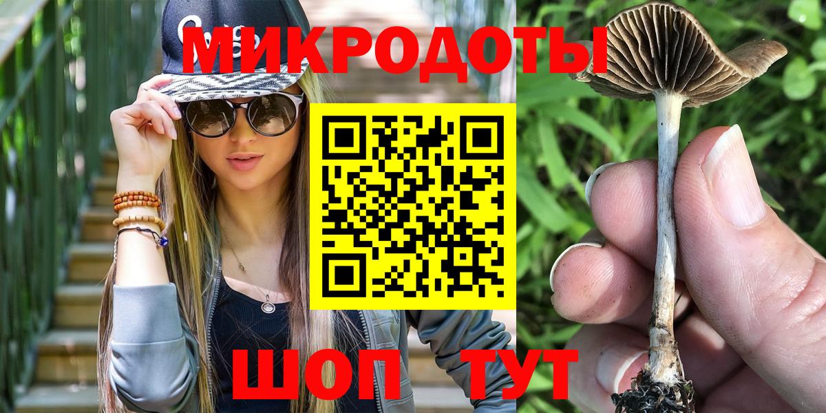 Сальск  сколько стоит  Вход с VPN  Галлюциногенные грибы Magic Shrooms 